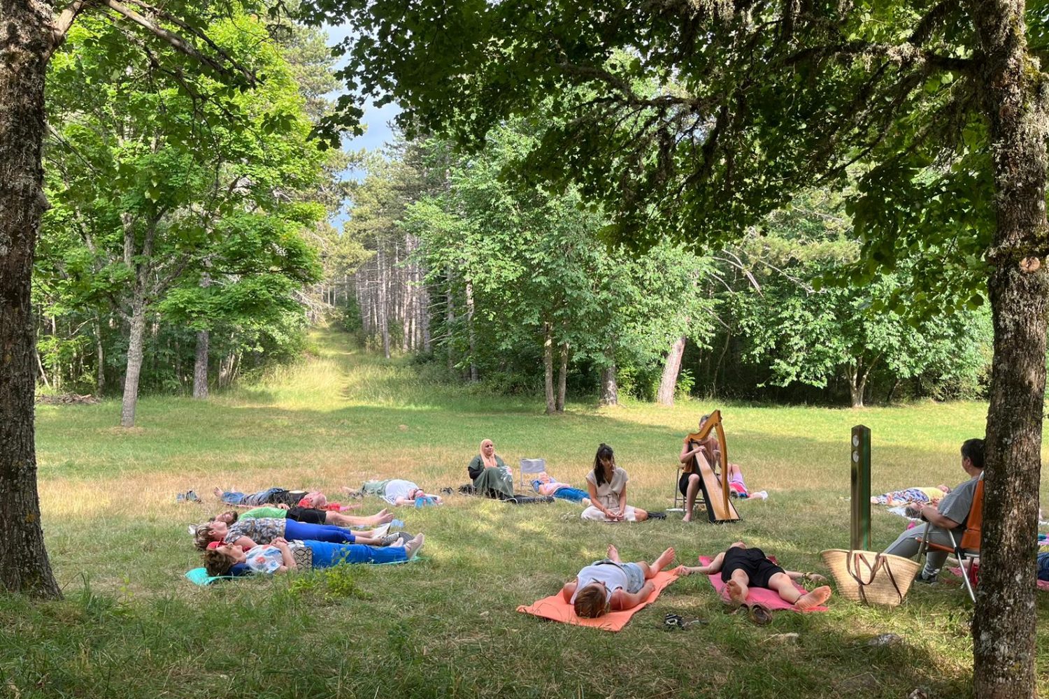 Séance de sophrologie collective en forêt avec musique de harpe, animée par Marie Basset en pleine nature.